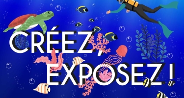 "Créez, Exposez" - Appel à participation Du 23/10/2024 au 29/6/2025